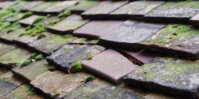 Coleshill roof repair costs